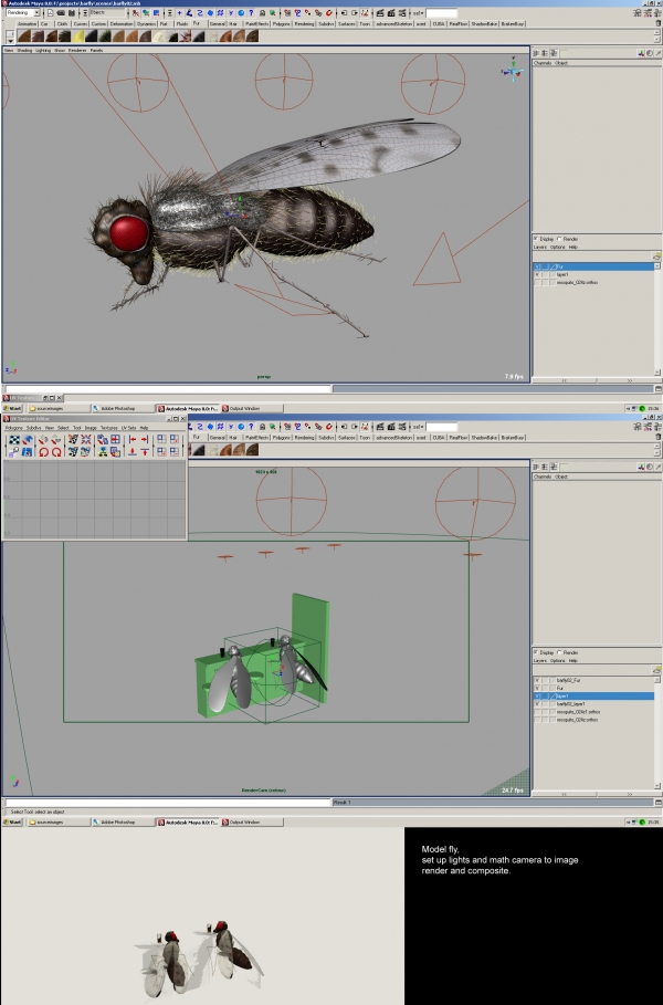 Creation of BarFlies: Step 1